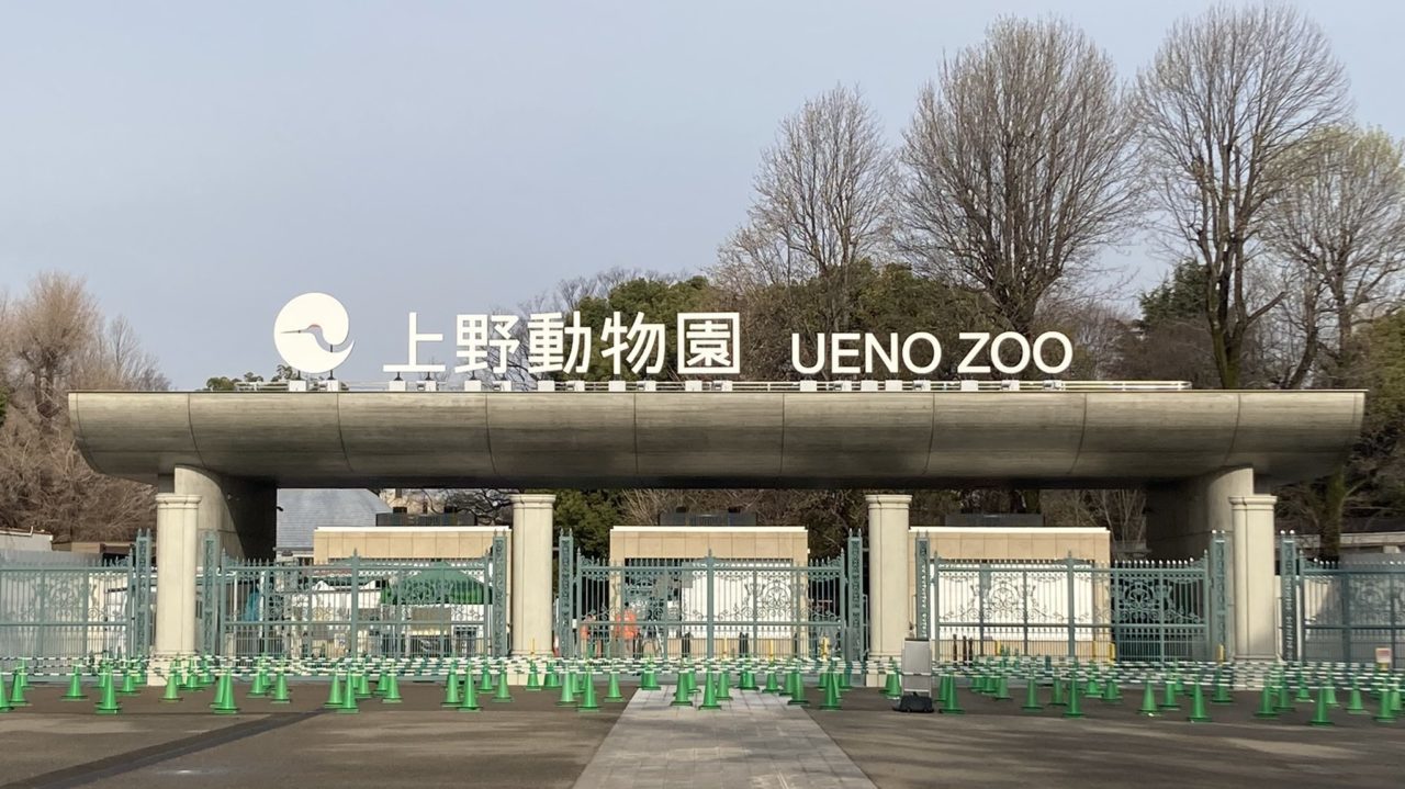 KENT CHAPMAN｜株式会社ケント・チャップマン